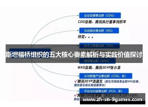 斯坦福桥组织的五大核心要素解析与实践价值探讨