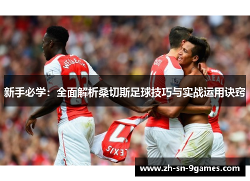 新手必学：全面解析桑切斯足球技巧与实战运用诀窍